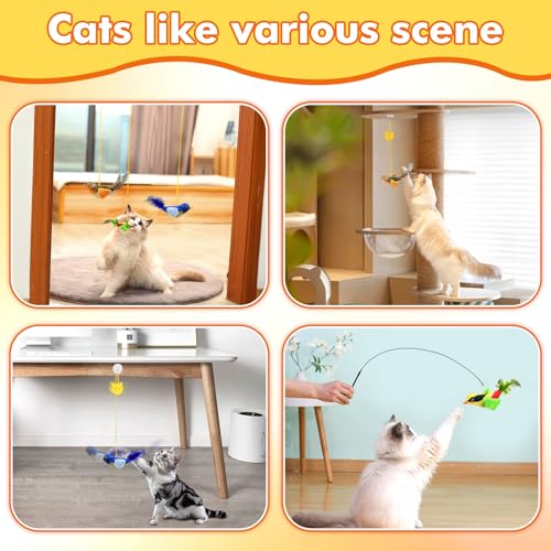Interactive Cat Toys for Indoor Cats, Retractable Door Hanging Cat Toys with Catnip and Feathers, 3 Pack Chirping Bird Cat Toy for Chase Exercise Boredom Buster for Kittens & Adult Cats