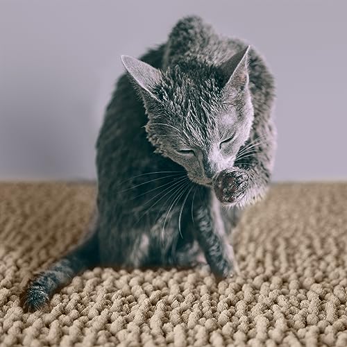 CatGuru Cat Litter Mat, Medium, Extra Large, XXL, Waterproof Litter Box Mat, Non Slip Kitty Litter Mat, Machine Washable Litter Trapping Mat, Soft Litter Tray, Cat Stuff (Medium, Sand/Heavy-Duty) - color: Sand/ Heavy-duty