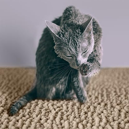 CatGuru Cat Litter Mat, Medium, Extra Large, XXL, Waterproof Litter Box Mat, Non Slip Kitty Litter Mat, Machine Washable Litter Trapping Mat, Soft Litter Tray, Cat Stuff (Medium, Sand/Heavy-Duty) - color: Sand/ Heavy-duty
