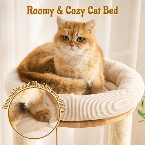 Modern Solid Wood Cat Tree for Indoor Cats Up to 15lbs, 49" Tall Cat Tower with Scratching Posts & Scratcher, Large Cat Bed, Hammock, Capsule Nest, Dangling Ball, Multi-Level Cat Furniture - color: 49"Natural