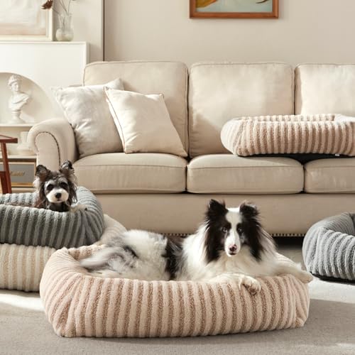 MIXJOY Dog Bed Medium Size Dog, Washable Medium Dogs Bed with Removable Cover, Soft Rectangle Doggy Ded Fluffy Plush Faux Fur Pet Bed with Anti-Slip Bottom, 30"x24"x8", Beige - color: Beige, size: M(30"Lx24"Wx8"Th)