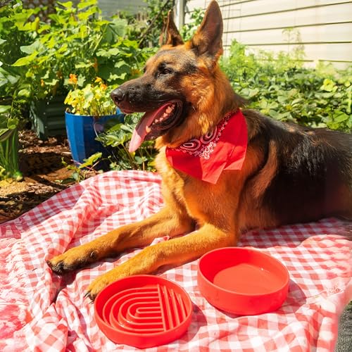 Should We Go? Slow Feeder for Dogs & Puppies, The Slowdown Bowl Silicone Slow Eating, Modern Lick Mat Design, Reduces Gulping, Fits 2 Cups, 7.5” Across x 1.5” Tall, Mealtime Challenge, Medium-Cherry - color: Cherry - Rainbow Design, size: Medium (7.5” Acr