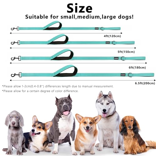 Dog Leash, 4ft Long, Double Handle, Reflective, Turquoise, for Small, Medium, Large Dogs - color: Turquoise, size: 4ft