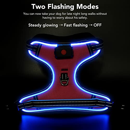 Safety LED Dog Harness - Light Up Dog Vest, No-Pull Dog Harness - Rechargeable Glowing Pet Harness for Night Walking & Camping (Pink+Blue Light, Medium) - color: Pink+Blue Light, size: Medium