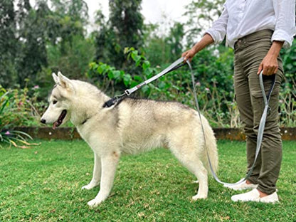 Tuff Pupper Heavy Duty Double Handle Leash | Twist Locking Carabiner Clip | Safety Lock for Strong Dogs | Reflective for Safe Night Walks | 6 Foot Leash | For Medium & Large Dogs - color: Steel Grey