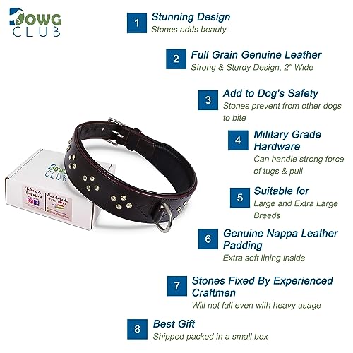 Genuine Leather ‘Cupola’ Series Dog Collar | Rhinestone | Soft, Cushion Padding, Handmade | Leather Dog Collar for XL Breeds (XL (Neck Size 22.5"-25.5"), Silver Rhinestones, Crimpson) - color: Silver Rhinestones, Crimpson, size: XL (Neck Size 22.5"-25.5")
