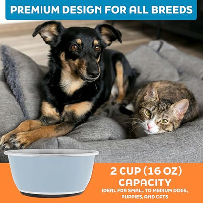 Master Pet Supply Stainless Steel Dog Bowls Set of 2 (16 Oz Each) with Non-Slip Rubber Base - Glacier Blue - Basic Dog Food Bowl Water & Food Bowls for Small Medium Large Dogs & Cats, Metal Dish - color: Glacier Blue, size: 2 Cups (16 oz) 2 Pack