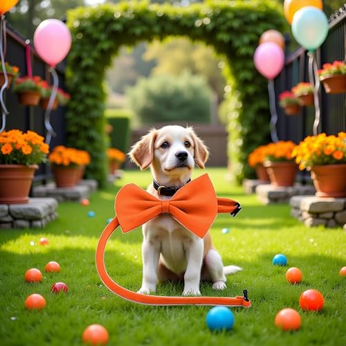 Orange Dog Bow Ties with Adjustable Collar Pet Neckties Cat Bow Tie Dogs Bowtie Collar Dog Bows Grooming Solid Puppy Neckties Cat Collars Basic Dog Collars