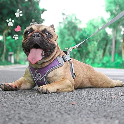Medium Dog Harness and Leash Set,No Pull Adjustable Step in Soft Mesh Vest Harness,Easy Walk Reflective Pet Harness with Padded Handle for Walking Training Small Medium Large Dogs and Cats (Purple, M) - color: Purple, size: M