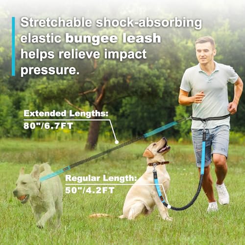 Laqibak Hands Free Dog Leash, Adjustable Waist Leash for Dog, Handle Bungee 4.2-6.7 Feet Long with Reflective Stitches for Walking Hiking Running, Fits 26"- 43" Waist, Black & Blue - color: Black+Blue