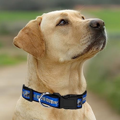 New & Improved Pets First NFL Licensed PET Collar- Heavy-Duty, Strong, and Durable New Dog Collar. Available in 32 Football Teams and 4 Sizes - color: Carolina Panthers, size: Extra Large