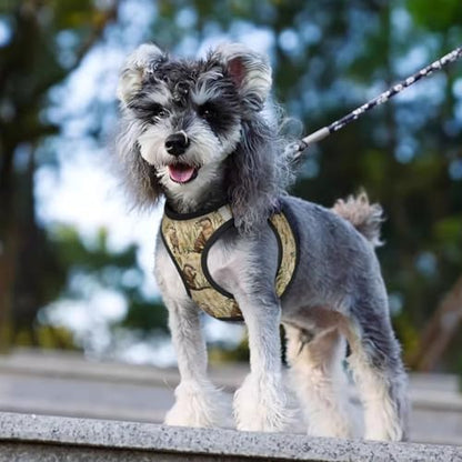 Otters Pet Harness Escape Proof Dog Harness Adjustable Mesh Padded Reflective Dog Vest Harness and Leash Set Small - color: Style 4, size: Small
