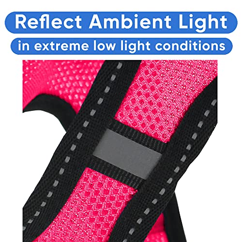 Pawtitas Dog Vest Harness Made with Breathable Air Mesh | All Weather Vest Harness for Extra Small Puppies and Large Cats with Quick-Release Buckle - Extra Small Pink Mesh Dog Harness - color: Pink, size: X-Small (Pack of 1)