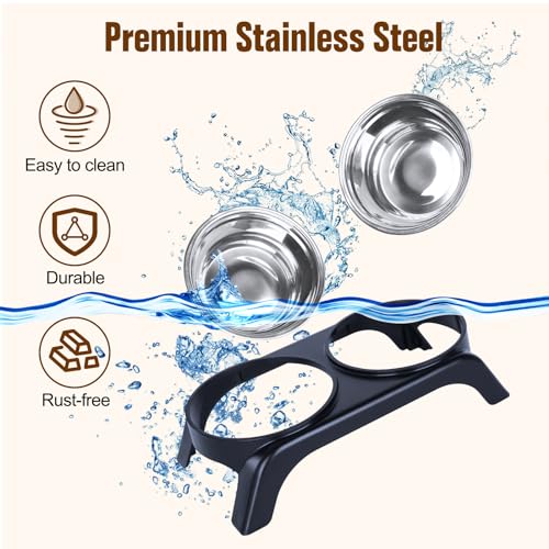 Elevated Cat Bowls, Anti Vomiting Raised Cat Food Bowl with 2 Stainless Steel Bowls, Prevent Neck Pain Cat Bowl Set, ABS Anti Slip Stand Cat Bowls for Indoor Cats & Puppies (Grey) - color: Grey
