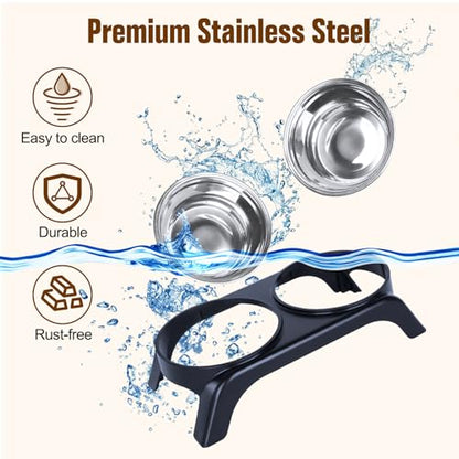 Elevated Cat Bowls, Anti Vomiting Raised Cat Food Bowl with 2 Stainless Steel Bowls, Prevent Neck Pain Cat Bowl Set, ABS Anti Slip Stand Cat Bowls for Indoor Cats & Puppies (Grey) - color: Grey