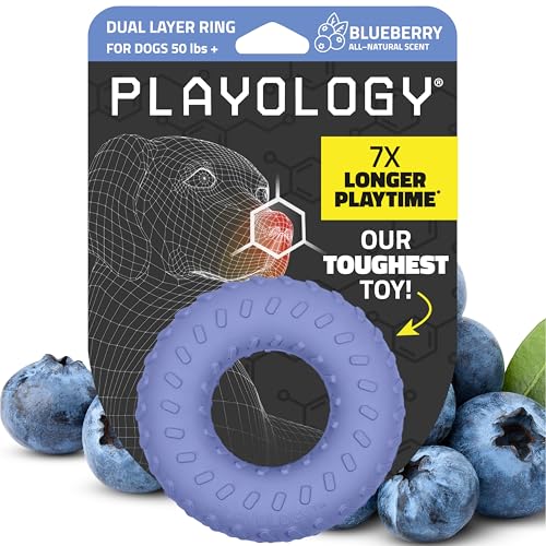 Playology Dog Toys | Dual Layer Ring Durable Dog Toy for Tough Chewers | Jumbo Blueberry Scented Chew Toy for Large Dogs - size: Jumbo, style: Blueberry