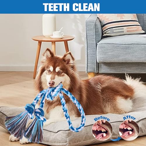 BINGPET 2 Pack Dog Rope Toy for Large and Medium Dogs,Heavy Duty Tug of War Dog Toy,Cotton Tough Dog Chew Teething Toys for Aggressive Chewers - color: Pink and Blue