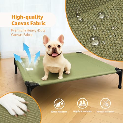 Sytopia Outdoor Raised Dog Cots Bed for Dogs, Medium, Green