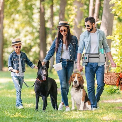 Dog Training Treat Pouch Zipper Waist Belt Bag, Plus Size Dog Treat Bag with Water Bottle Holder Silicone Insert and Clip for Leash Waste Bags Puppy Hiking Dogs Walking Fanny Pack Kit, Grey - color: grey