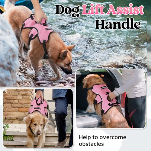 rabbitgoo Escape Proof Dog Harness Medium, Soft Padded Full Body Pet Harness, Reflective Adjustable No Pull Vest with Lift Handle and Leash Clip for Walking Hiking Training, Light Pink, M - color: Light Pink, size: Medium (Pack of 1)