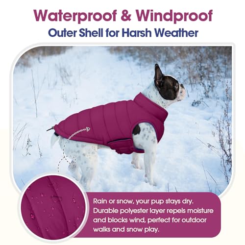 QBLEEV Reversible Dog Coat for Medium Dogs, Waterproof Windproof Winter Jacket Keeps Dogs Warm in Snow, Adjustable Hook & Loop Lightweight Dog Puffer Vest, Purple, L – Fits French Bulldog - color: Violet-Blue, size: Large