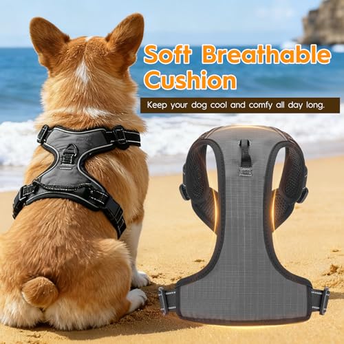 No Pull Dog Harness, No Chock Reflective Adjustable Soft Padded Pet Vest with Easy Control Handle, Easy Wearing with Stylish, Reinforced Knot, 2 Buckles - color: Gray, size: X-Small