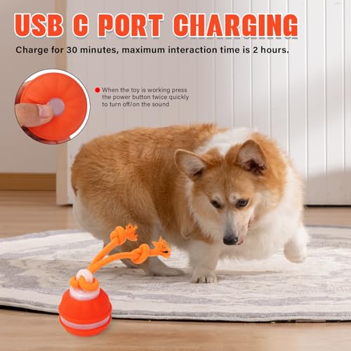 Interactive Dog Toys, Squeaky Dog Toy with Motion Activated, Active Rolling Ball, USB Rechargeable Dog Toys for Small Medium Large Dogs, Puppy Training Balls Boredom Relief