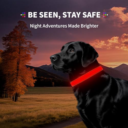 Dog Light up Collar for Night Walking - High Visibility LED Dog Collar - Rechargeable - Waterproof - Reflective - Adjustable Lighted Glow Collars(Red,XLarge) - color: Red, size: XLarge (22" - 27")