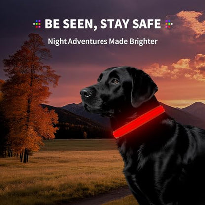Dog Light up Collar for Night Walking - High Visibility LED Dog Collar - Rechargeable - Waterproof - Reflective - Adjustable Lighted Glow Collars(Red,XLarge) - color: Red, size: XLarge (22" - 27")