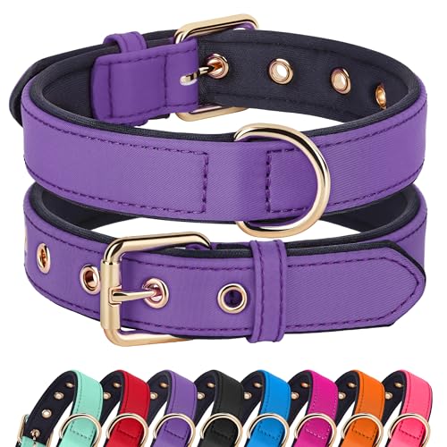 Didog Soft Padded Dog Collar for Large Dogs, Lightweight and Breathable Dog Collar with Metal Buckle, Purple, XL - color: Purple, size: XL: Fit 17-23" Neck