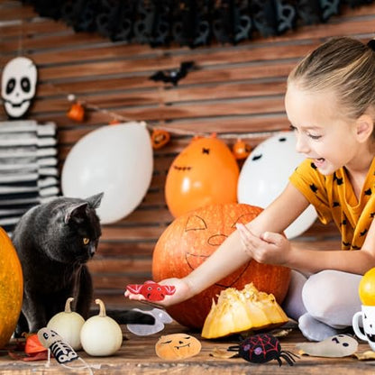 FOIMAS Halloween Catnip Toys,Pumpkin Ghost Catnip Toy Chew Bite Toy for Cat Interactive, Pack of 6 - color: multi