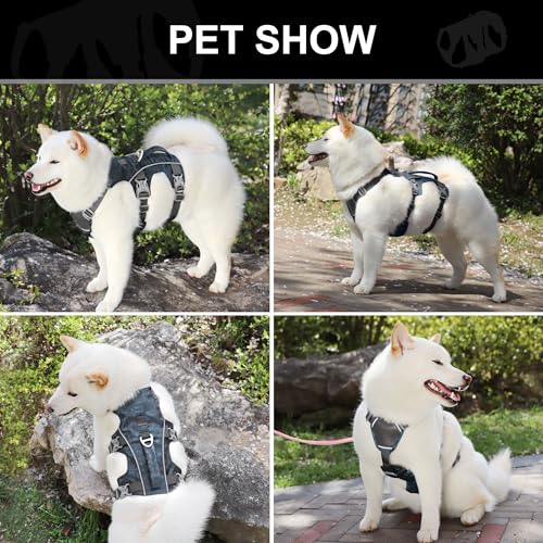 Escape Proof Dog Harness, Lightweight Full Body Pet Vest with Lift Handle and Leash Clip, Reflective Adjustable Small Dog Harness for Daily Walking(Grey,Chest:14-22") - color: Grey, size: XS: Chest 14-22", Fit 8-12 lbs
