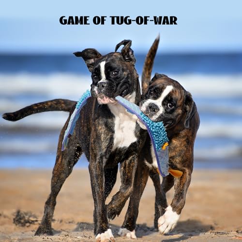 Nocciola EEL Squeaky Dog Toy, Tough No Stuffing Toy for Tug of War, Puppy Interactive Puzzle Fun to Keep Them Busy, Cognitive Crinkle Dog Toy for Large Medium Small Breed, Blue - color: No Stuffing Blue Eel