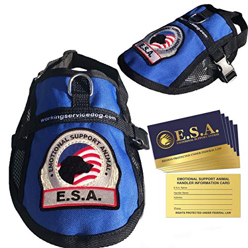 Premium Emotional Support Dog Vest | ESA Dog Vest | Mesh Cooling Panel | Emotional Support Dog Harness | Includes 5 Federal Law ESA Handout Cards (18" - 22" Girth, Blue) - color: Blue, size: Fits 18" - 22" Girth