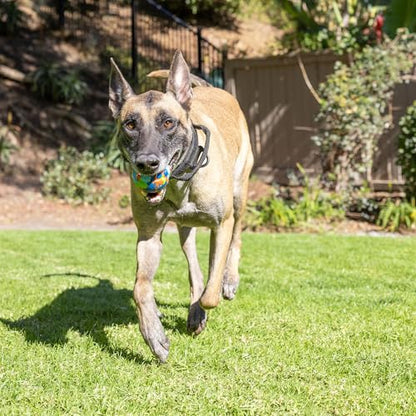 Chuckit! Limited Edition EcoFetch Ball Dog Toy, Medium (2.5 Inch Diameter) Pack of 3, for Breeds 20-60 lbs - style: EcoFetch