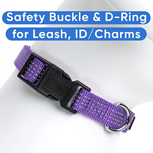 Pawtitas Reflective Dog Collar for X-Small Dogs – Adjustable Nylon Puppy Collar with Quick-Release Buckle | Fits Neck 8–13 in | Night Safety Training Collar | XS | Purple - color: Purple, size: X-Small (Pack of 1)