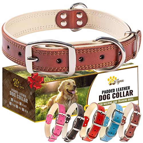 ADITYNA Heavy-Duty Leather Dog Collar for Large Dogs - Soft Padded for Comfort - Large Dog Collar for Walking, Training, and Hiking - color: Brown, size: Large: Fit 17-23" Neck