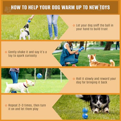 PetDroid Interactive Dog Toys Dog Ball,[Newly Upgraded] Durable Motion Activated Automatic Rolling Ball Toys for/Small/Medium/Large Dogs,USB Rechargeable (Blue) - color: Blue