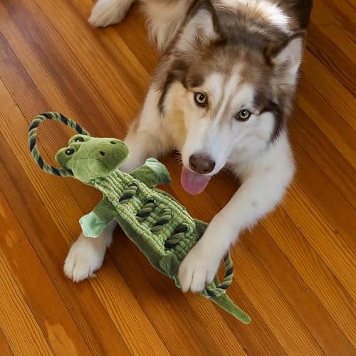 Outward Hound by Charming Pet Ropiez Rope Interactive Dog Tug Toy for Tugging Squeaky Fun, Gator, Green - color: Ropiez Gator