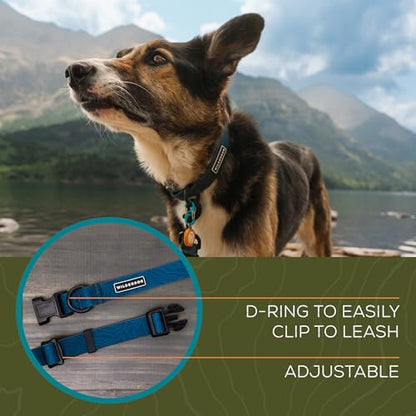 Wilderdog Waterproof Dog Collar - Repels Water & Dirt - Medium 13"-18" - Pacific Blue - color: Pacific Blue, size: Medium