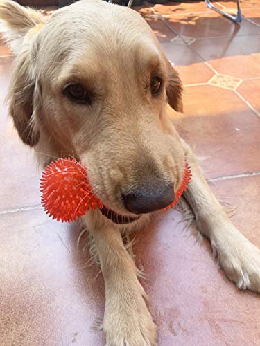 Jalousie Dog Squeaky Toys Value Set Non-Toxic Squeaky Balls Toss Fetch TPR Rubber Puppy Toys Spikey Dog Chew Toy for Small Medium Breed Pet Toys for Puppy (6 Pack Spiky Ball) - color: 6 Pack Spiky Ball