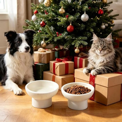 Karibiber Marble Elevated Cat Bowl, White Weighted Raised Cat Food & Water Bowl, Whisker-Friendly Stone Cat Dish with Non-Slip Stand, Heavy Water Bowls for Small Dog - color: White