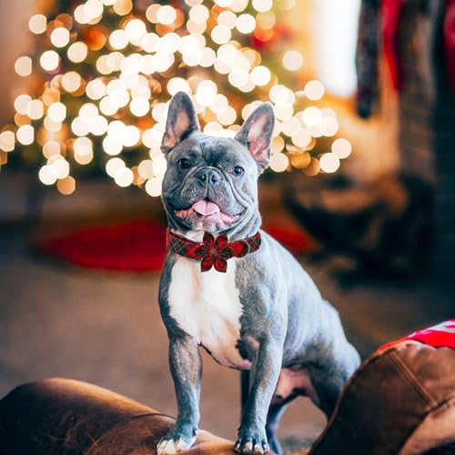 Dog Collar, Christmas Pet Collar with Flower Holiday Girl Boy Puppy Collar Adjustable for X-Small Dogs - color: Christmas PlaidⅡ, size: X-Small (Pack of 1)