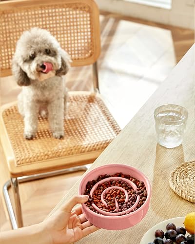 Ceramic Slow Feeder Dog Bowls, 0.6 Cup Slow Feeder for Small Dogs, Puzzle Maze Bowl, Prevents Choking, 6in, Pink - color: Pink, size: 6 Inches