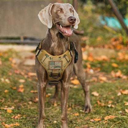 rabbitgoo Tactical Dog Harness Medium Sized, Heavy Duty Pet Harness with Handle, No-Pull Service Vest Medium Breed, Adjustable Military Dog Vest for Training Hunting Walking, Brown Camo, M - color: Brown Camo, size: Medium