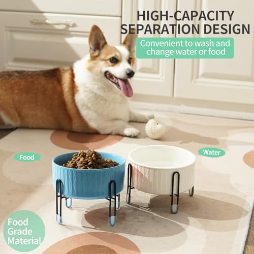 32 OZ Raised Dog Cat Bowls with Elevated Metal Stand, 6.5 Inch Ceramic Round Pet Food and Water Feeder Bowl Dish for Cats & Dogs, White & Blue, Set of 2 - color: White & Blue