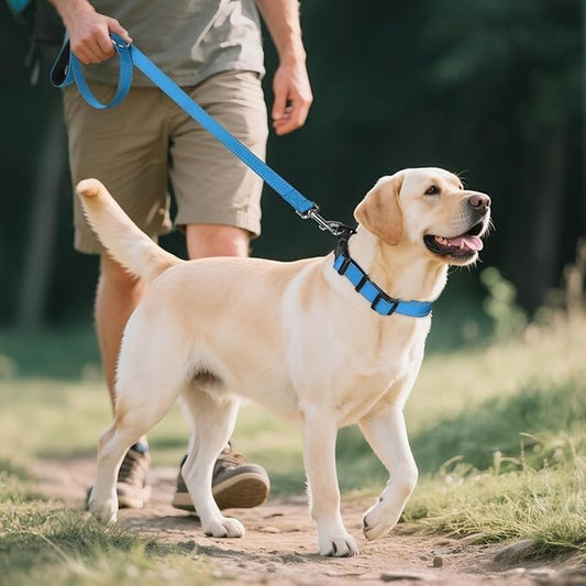 Reflective Dog Collar,Soft Neoprene Padded Breathable Nylon Pet Collar Adjustable for Large Dogs,Blue, L - color: Blue