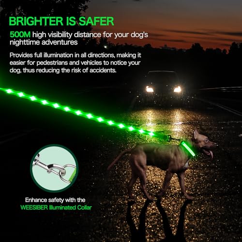 Weesiber Glowing Light Up LED Dog Leash - 4ft USB Rechargeable Flashing Nylon Leash for Small Medium Large Dogs, 3 Flash Modes (Green) - color: Green