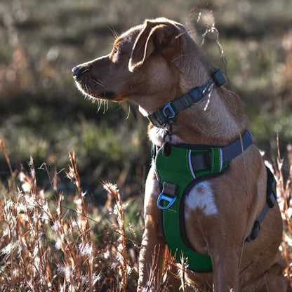 Embark Adventure Medium Dog Harness – No-Pull, Reflective Trim, Military-Grade Nylon, Front Clip with Gel-Lined Handle - color: Green, size: M
