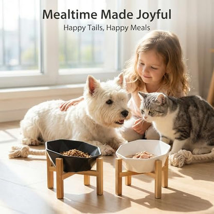 Raised Cat Bowl - Ceramic Tilted Elevated Food Bowl for Indoor Cats & Small Dogs - Shallow Wide Whisker-Friendly Design - Pet Dish Suitable for Feeding Dry, Wet, Treats & Canned Food - Black - color: Black with stand